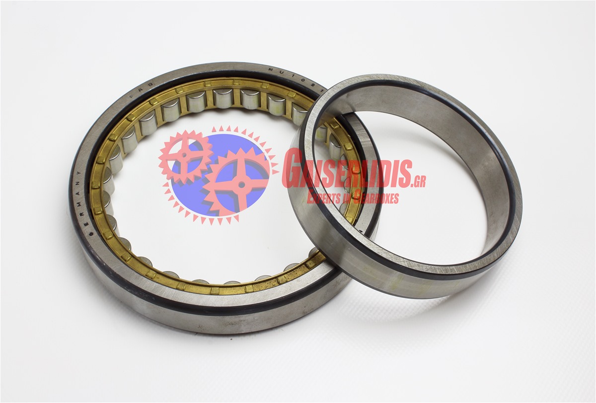 Cylindrical Roller Bearing NU1021 F0303