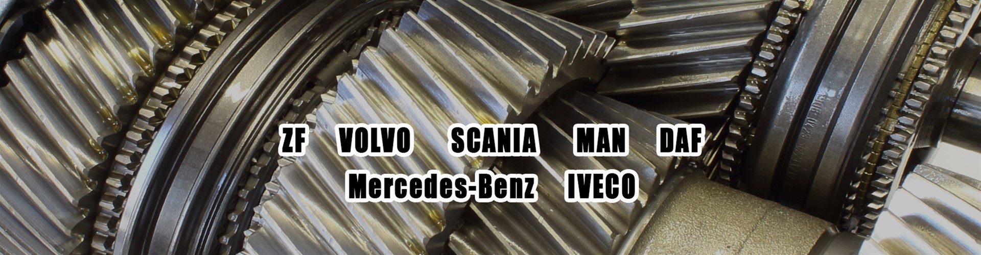 Gaiserlidis Spare Parts for ZF | MERCEDES | VOLVO | SCANIA | MAN | DAF | IVECO